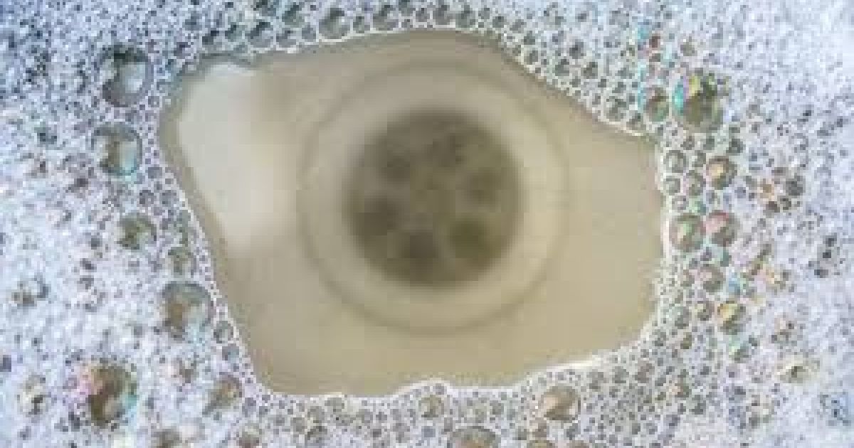 The Science of Clogs: What’s Really Hiding in Your Drains
